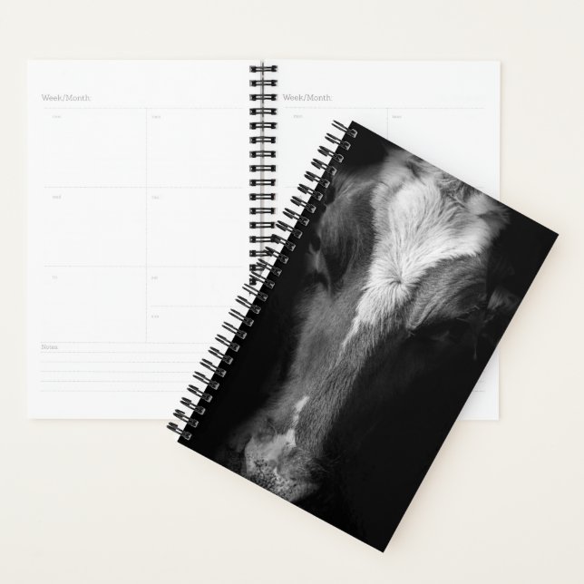 Farms | B&W Cow Head Shot Planer (Anzeige)