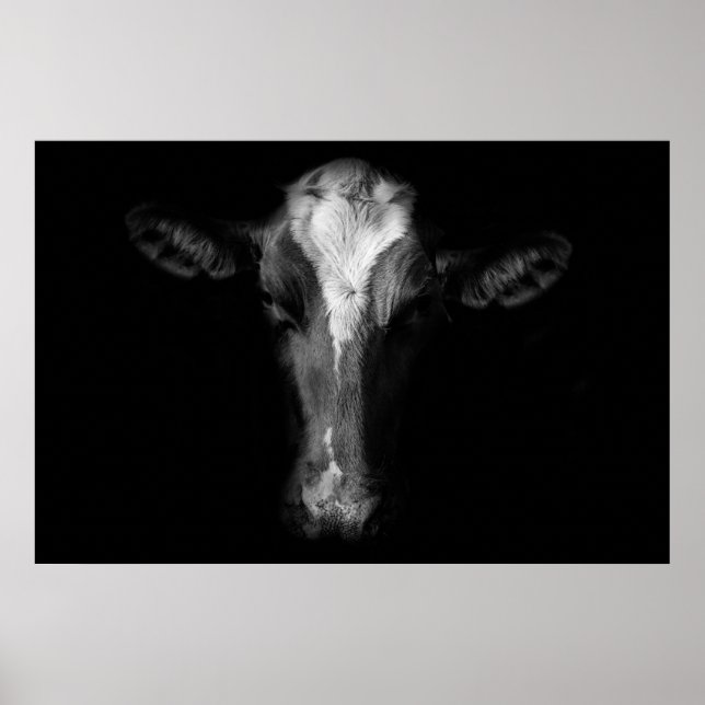 Farms | B&W Cow Head Shot Poster (Vorne)