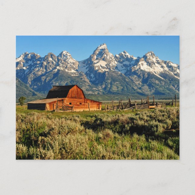 Farms | Barn Shadowed by Snow Capped Mountains Postkarte (Vorderseite)