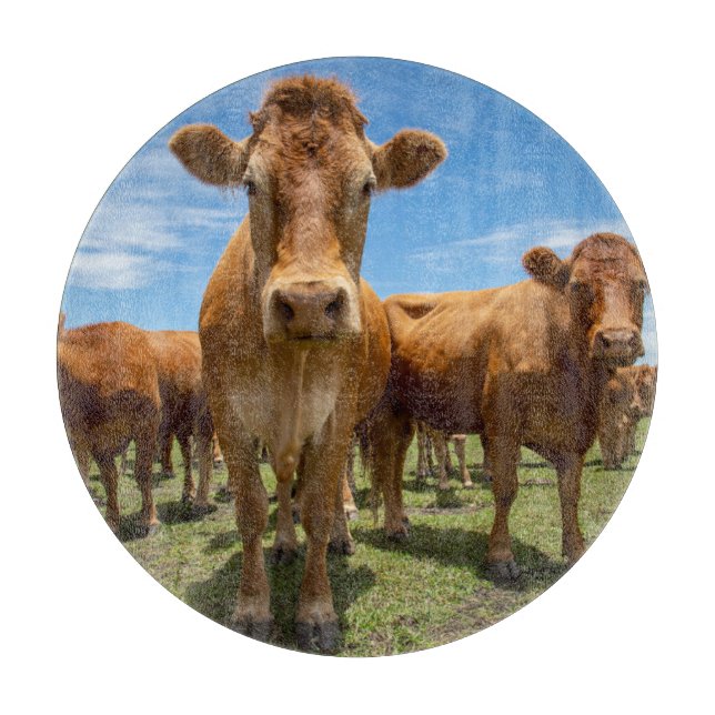 Farms | Brown Cow Group Schneidebrett (Vorderseite)