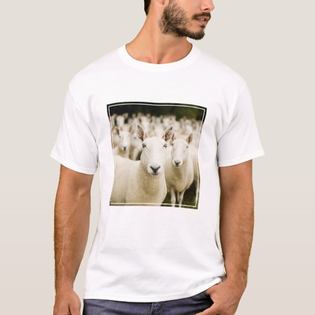 Farms Herd of Sheep T-Shirt (Vorderseite)