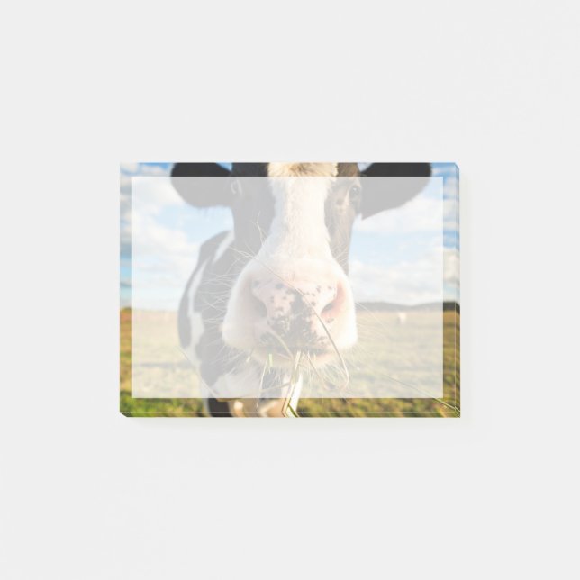 Farms | Holstein Cow Chewing Post-it Klebezettel (Vorderseite)