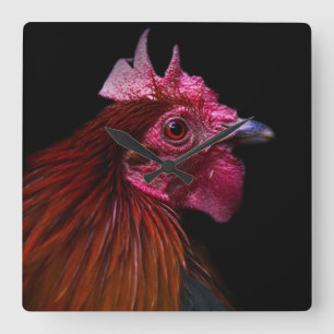 Farms   Rooster Head Shot Quadratische Wanduhr