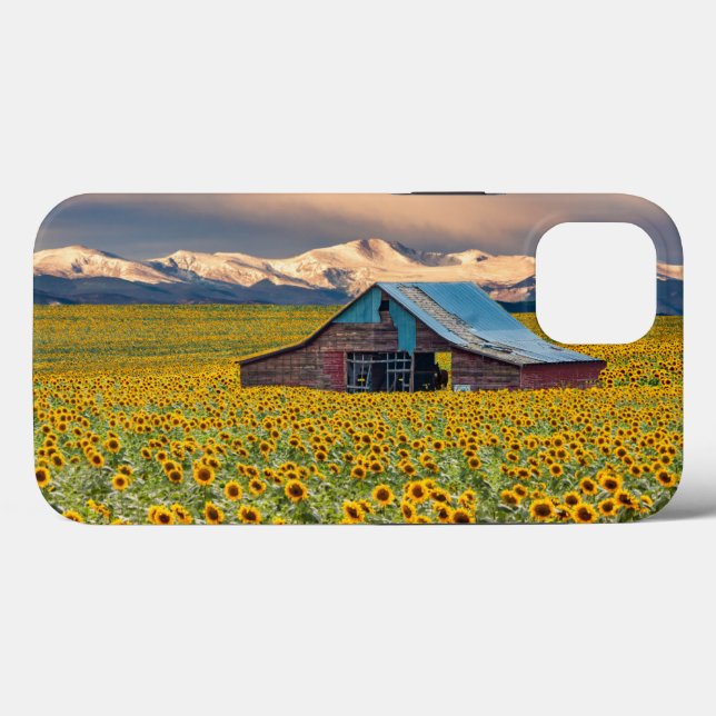 Farms | Sunflower Field Case-Mate iPhone Hülle (Rückseite (Horizontal))