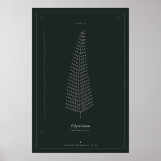 Farn Botanische Linienzeichnung Poster, Dunkle Aka Poster