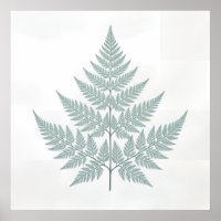 Farn Botanischer Druck Poster