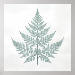 Farn Botanischer Druck Poster