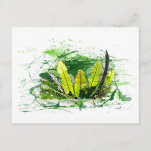 Farn,, Dschungel, Landschaft Postkarte