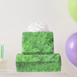 Farn-Foto-Geschenkpapier Geschenkpapier