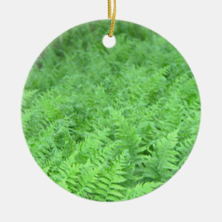 Farn Foto Ornament