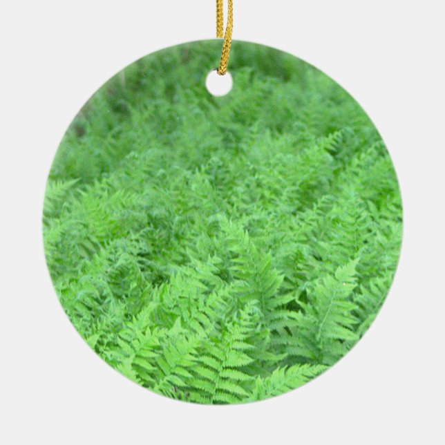 Farn Foto Ornament  (Vorne)
