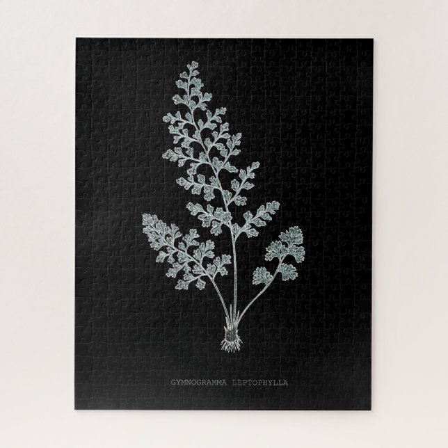 Farn - Gymnogramma Leptophylla - Röntgen-Effekt –  Puzzle (Vertikal)
