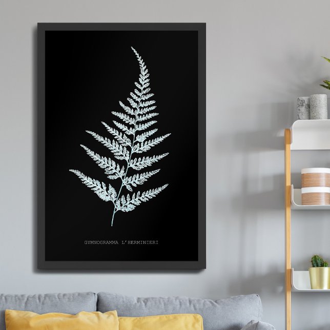 Farn - Gymnogramma L'herminieri. Röntgen-Effekt –  Poster (Von Creator hochgeladen)