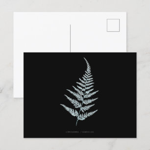 Farn - Gymnogramma L'herminieri. Röntgen-Effekt – Postkarte