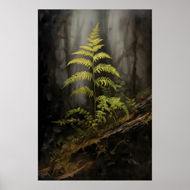 Farn im dunklen Wald Akademie, Botanisch, Wald Poster (Vorne)