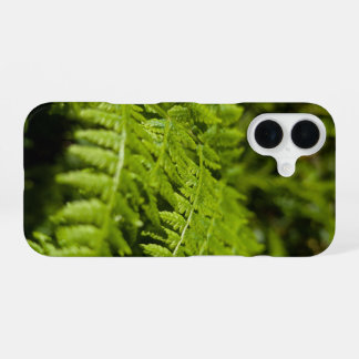 Farn iPhone 16 Hülle