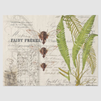 Farn-Motten-Apotheker Decoupage Seidenpapier