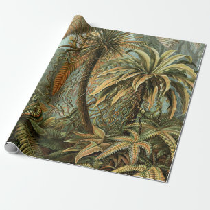 Farn Palmenbaum Antik Botanisch Farn Kunst Geschenkpapier