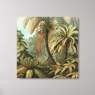 Farn Palmenbaum Antik Botanisch Farn Kunst Leinwanddruck