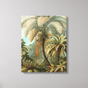 Farn Palmenbaum Antik Botanisch Farn Kunst Leinwanddruck