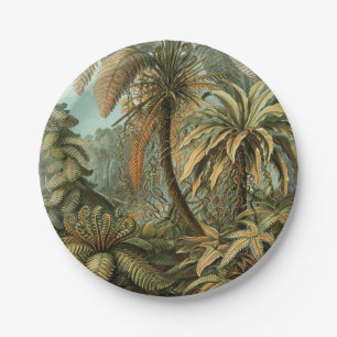 Farn Palmenbaum Antik Botanisch Farn Kunst Pappteller