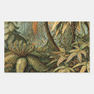 Farn Palmenbaum Antik Botanisch Farn Kunst Rechteckiger Aufkleber