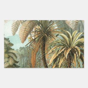 Farn Palmenbaum Antik Botanisch Farn Kunst Rechteckiger Aufkleber