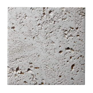 Farn-versteinerte Fliesen-Oberflächen-Nahaufnahme Fliese