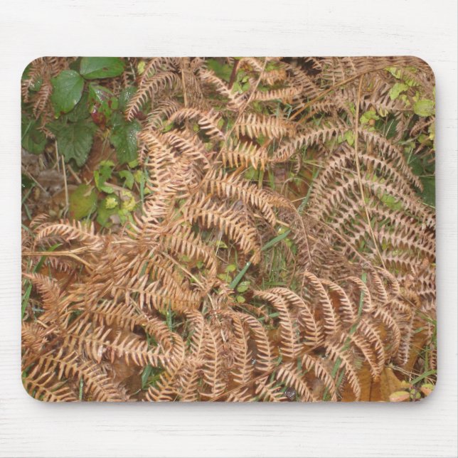 Farne im Herbst Mousepad (Vorne)