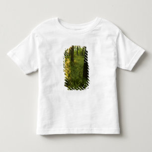 Farne im Wald in Grafton, Massachusetts. Kleinkind T-shirt