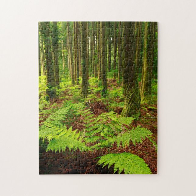 Farne im Wald Puzzle (Vertikal)
