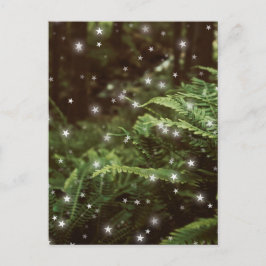 Farne im Zentrum der Waldsterne Postkarte