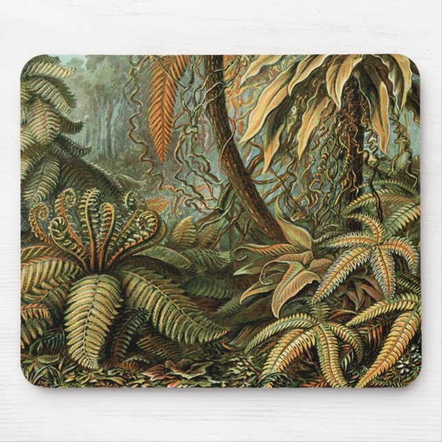 Farne Palmenbaum Antik Botanisch Farne Kunst Mousepad (Vorne)