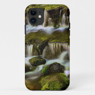 Farnquelle, Yosemite-Nationalpark, Kalifornien Case-Mate iPhone Hülle