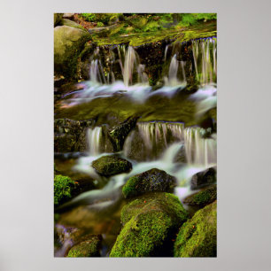 Farnquelle, Yosemite-Nationalpark, Kalifornien Poster