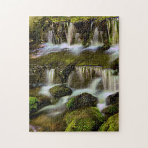 Farnquelle, Yosemite-Nationalpark, Kalifornien Puzzle