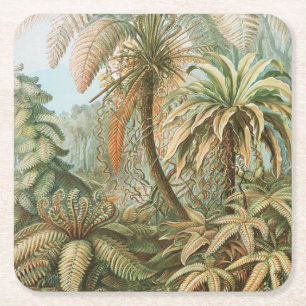Farnsamen, Filicinae Laubfarne von Ernst Haeckel Rechteckiger Pappuntersetzer