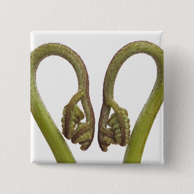 Farnsprösslinge 2 button (Vorderseite)