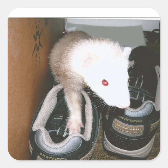 Farret und die Shows Quadratischer Aufkleber (Vorderseite)