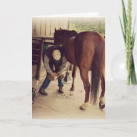 Farrier - Schönes Foto Hoof Trim