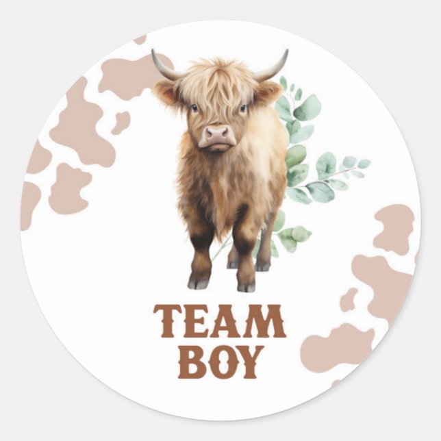 Färse oder Bulle Kuh Team Junge Aufkleber (Vorderseite)