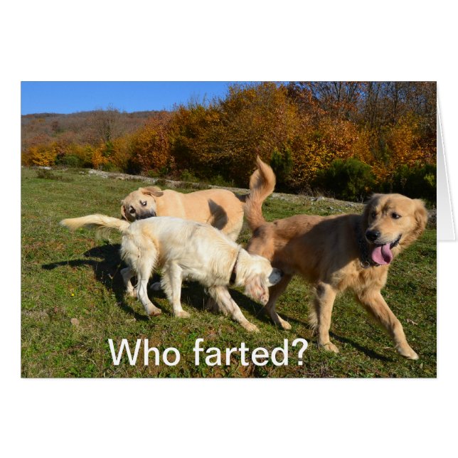 Farting (Vorderseite (Horizontal))