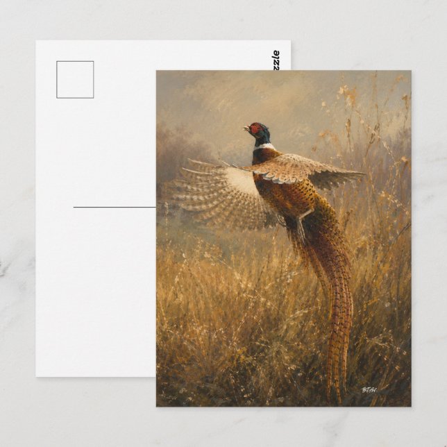 Fasan im goldenen Flug Postkarte (Vorne/Hinten)