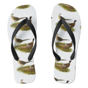 Fasan: Ringneck Flip Flops