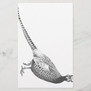 Fasan-Skizze Briefpapier
