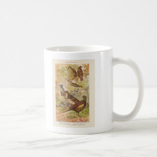 Fasan und anderes Wild Tasse