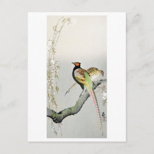 Fasane und Kirschblüten - Ohara Koson - Postkarte