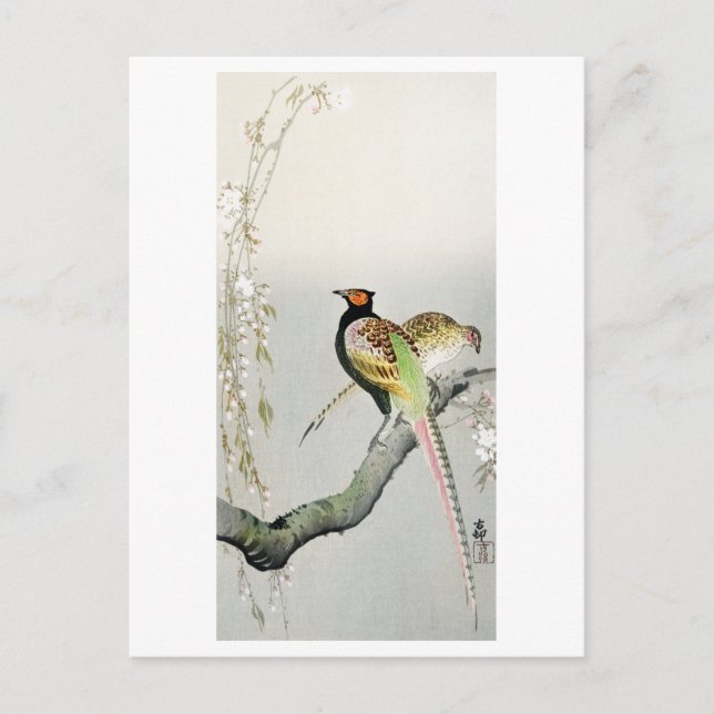 Fasane und Kirschblüten - Ohara Koson - Postkarte (Vorderseite)