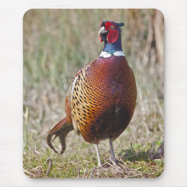 Fasanen-Mauspad Mousepad (Vorne)