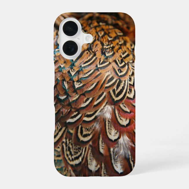 Fasanenfedern iPhone 16 Hülle (Rückseite)